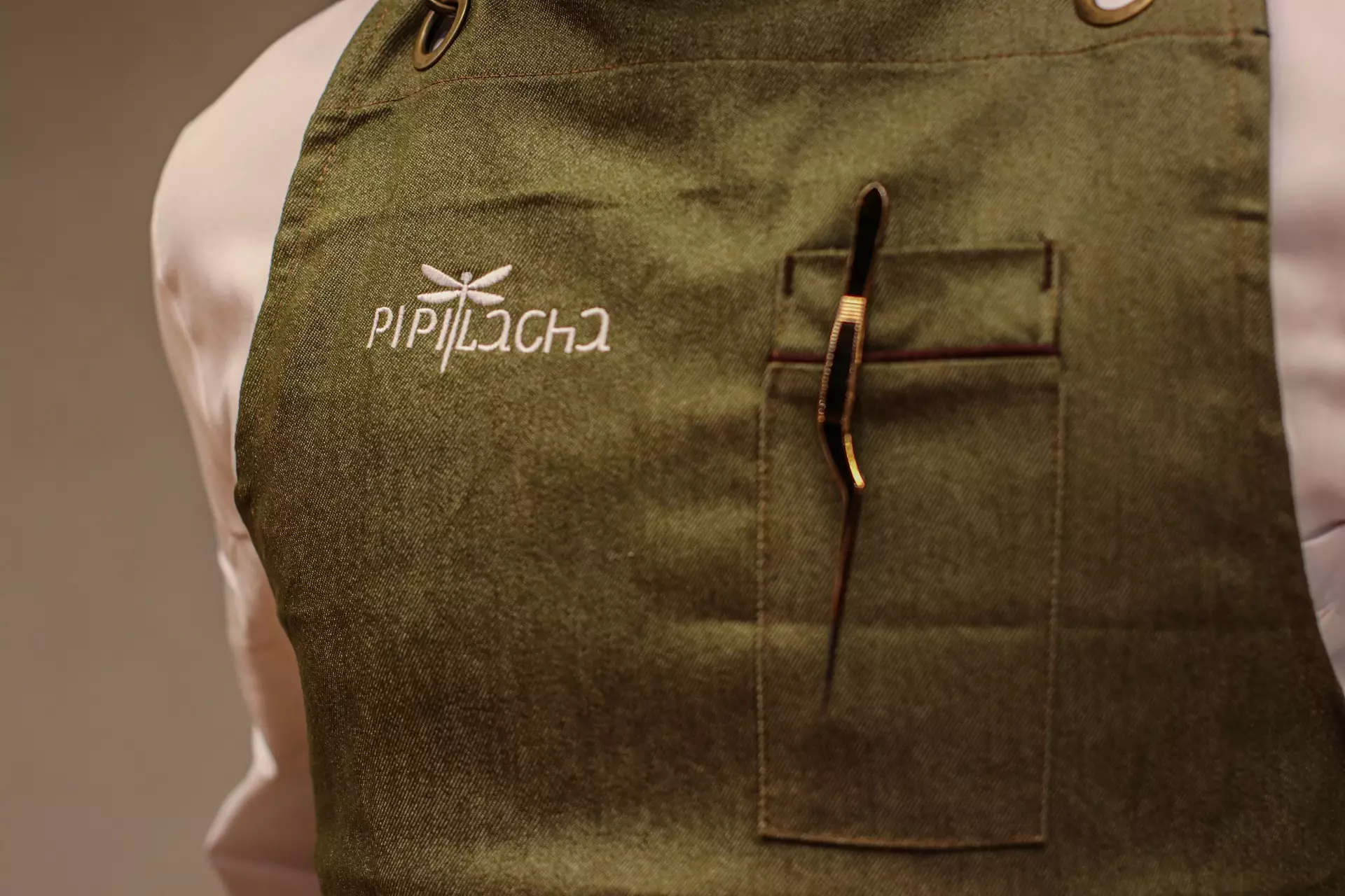 Menú Degustación Pipilacha