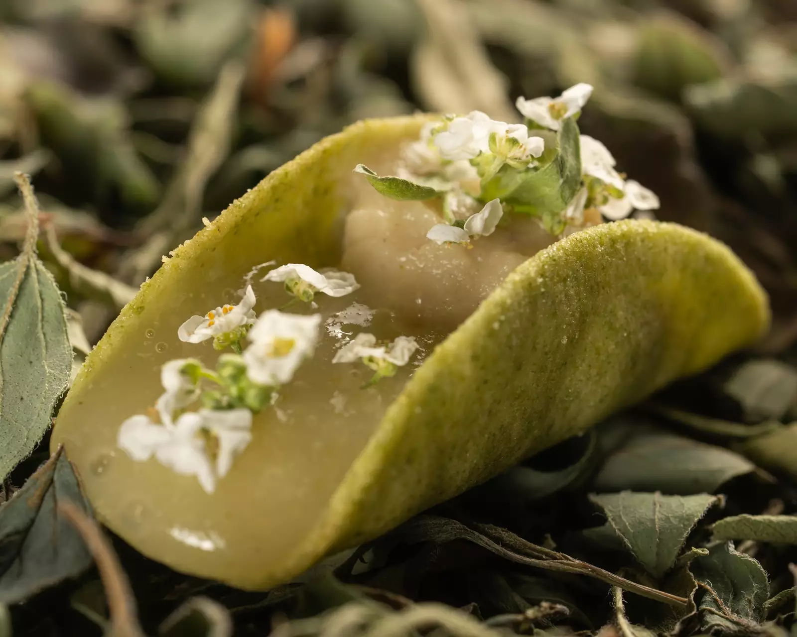 Menú Degustación Pipilacha - Imagen 10