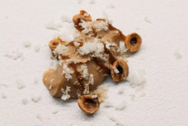 Menú Degustación Inicios